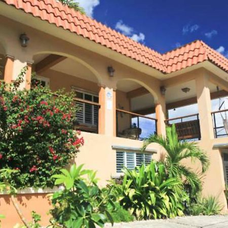 Villa Coral Guesthouse Vieques Exteriér fotografie
