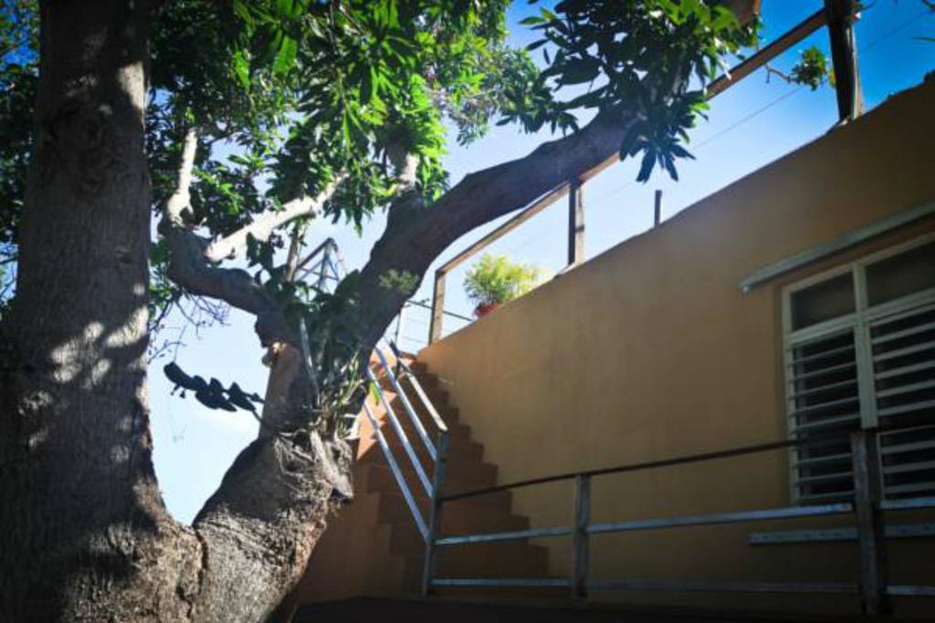 Villa Coral Guesthouse Vieques Exteriér fotografie