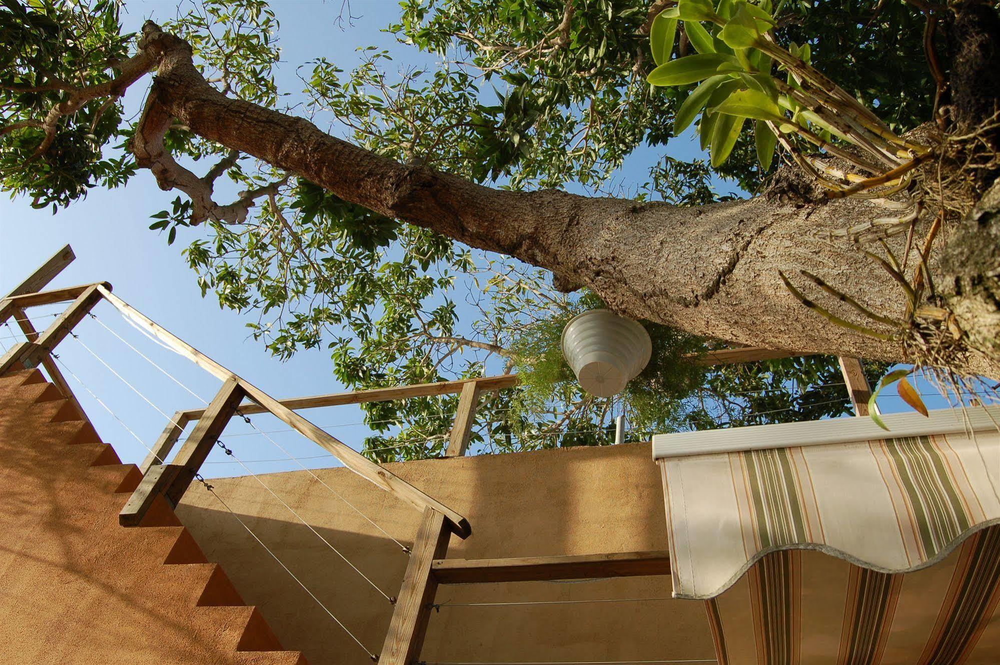 Villa Coral Guesthouse Vieques Exteriér fotografie